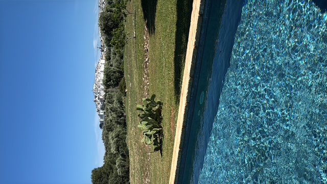 A pool terrace above the olive groves with Ostuni on the hill beyond