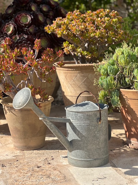Terracotta pots and a zinc watering can kept in order on a stone terrace