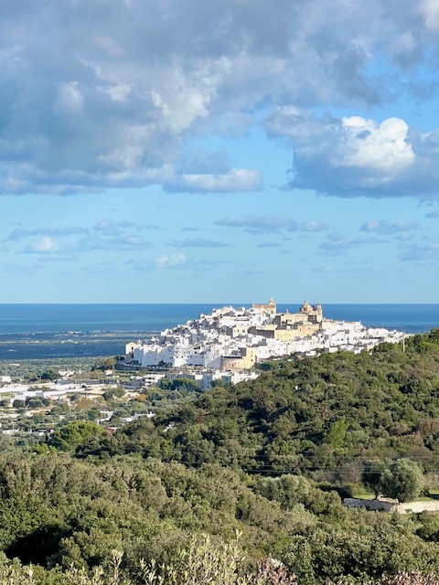 Ostuni rising white above the olive groves with the sea behind